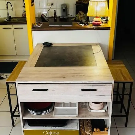 Apartment Avec Jardin Pivatif *